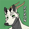 pyrondragon