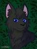 RavenTheCat
