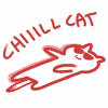 chiiillcat