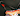 nyctoshing