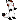 Coyabbit