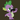 Spike000mlp