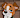 dodgerpup131