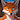 FreddyFox18