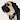Rufus5