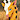 Girafarig