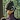 ChewyStarling